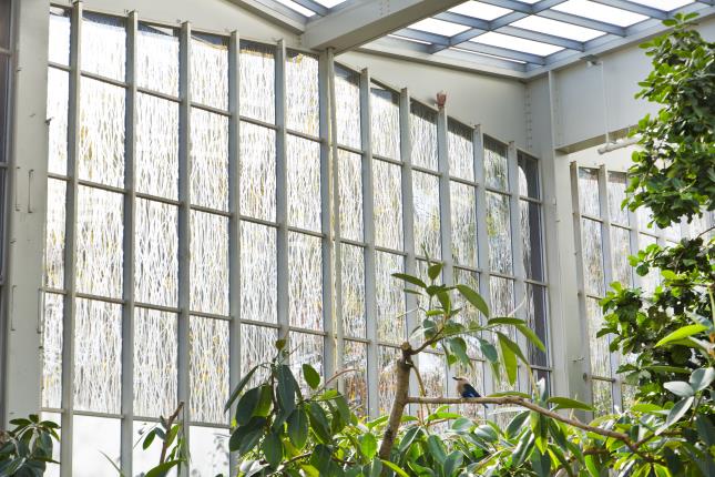 Custom Aviary Window Panes photo